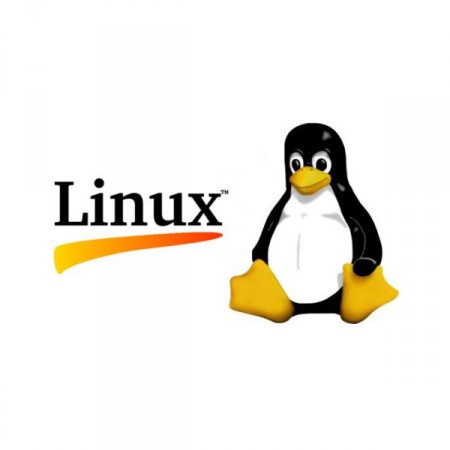 Sistema operativo basado en Linux para mayor eficiencia y seguridad